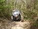 1989 Ford Bronco - An off-road SUV with oversized tires makes its way through a dense forest on a dirt path.