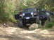 1989 Ford Bronco - Two blue Jeep Wranglers navigate a wooded, off-road trail with rocky obstacles.