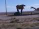 1995 Ford C-350 (Centurion Conversions) - Dinosaur statues are visible along a roadside in a barren landscape.