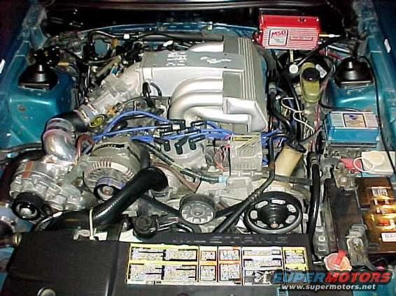 1994 Ford Mustang engine bay with V8 engine, MSD ignition box, and various hoses and wires