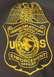 1994 Ford Mustang - Close-up of an Immigration Detention Enforcement Officer badge with yellow lettering on a dark background.