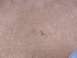 1995 Ford C-350 (Centurion Conversions) - The image shows a close-up view of a tan carpet with a dark stain, with no discernible vehicle features visible.