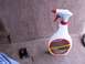 1995 Ford C-350 (Centurion Conversions) - A bottle of Mothers Carpet & Upholstery Cleaner sits on the carpeted interior of a vehicle.
