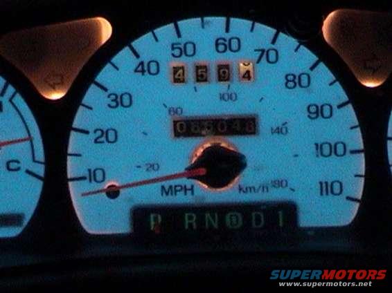 Glo Speedo (Blue)