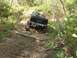 1989 Ford Bronco - Off-road pickup truck driving through a dense forest trail with fallen branches.