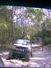 1989 Ford Bronco - This modified SUV navigates a rough, wooded trail with large tires and auxiliary lights.