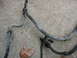1995 Ford C-350 (Centurion Conversions) - A set of AC hoses and fittings are laid out on a concrete surface.