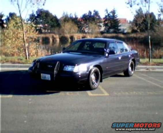 picture_5.jpg 