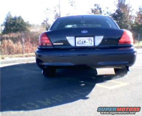 picture_17.jpg 