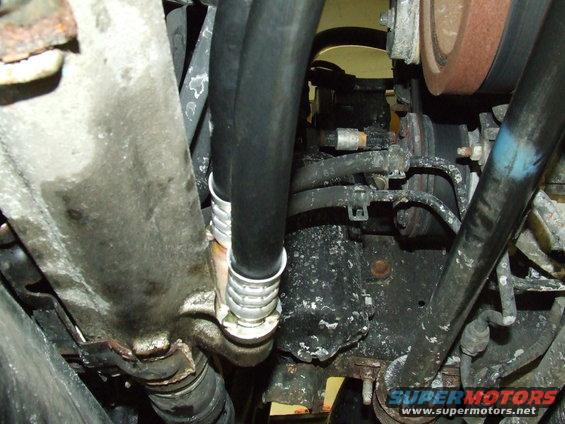 dash-picture-626.jpg