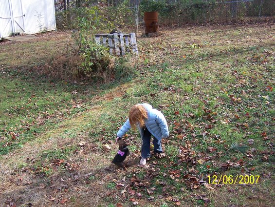 Girl in a blue coat petting a small dog in a yard with fallen leaves