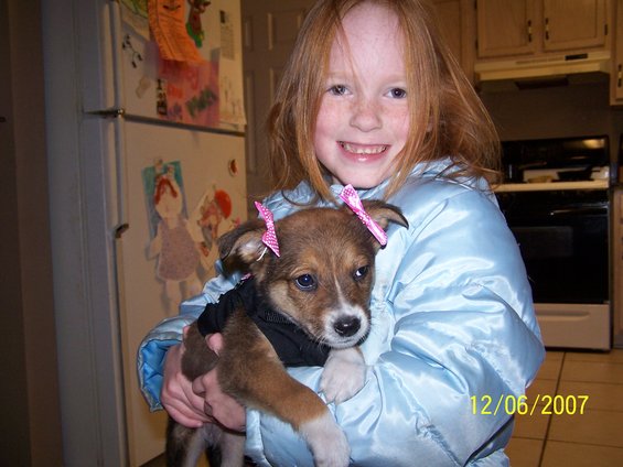 Girl with red hair in a blue jacket holds a puppy with pink bows on its ears