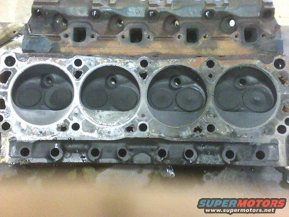 351-heads.jpg