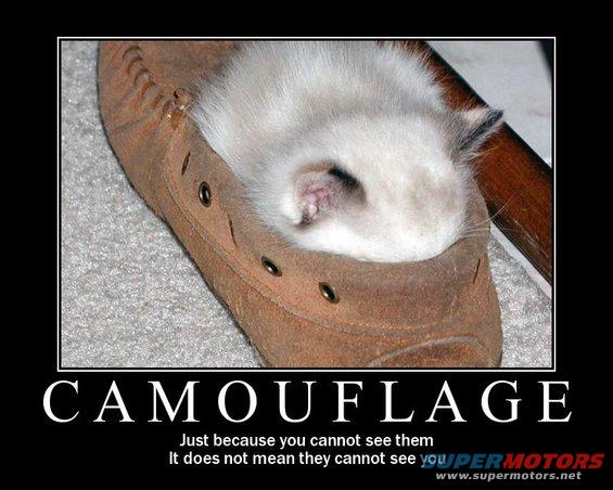 camoflage.jpg 