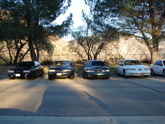 dsc09693.jpg 