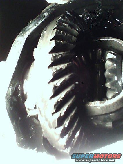 pic121207_7.jpg