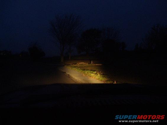 View from inside a vehicle at night, looking out at a dark road and trees. Headlights illuminate the road ahead