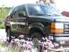 1991 Ford Explorer - A 1991 Ford Explorer SUV is seen from the front 3/4 angle, partially obscured by flowers.