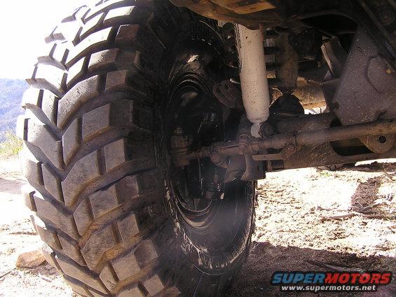 Trans oiled tire