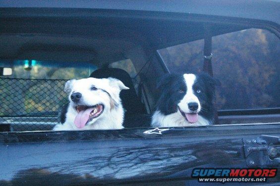 doggies-damon-and-clouds-and-scenery-074.jpg 