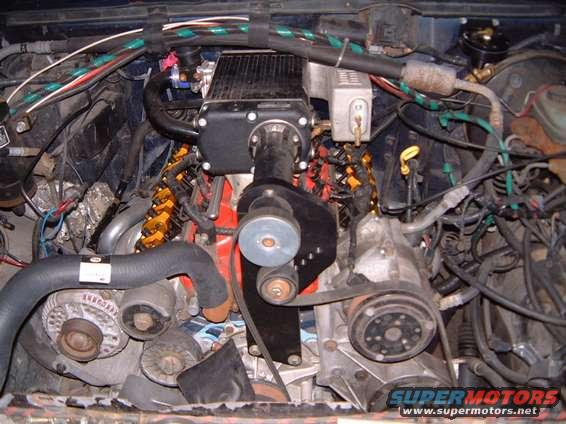 351w2002_1126_174629aa.jpg all the pretty colors