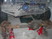 DSCN1737.jpg