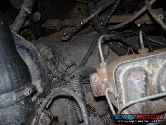 Close-up of engine bay wiring harness and brake fluid reservoir