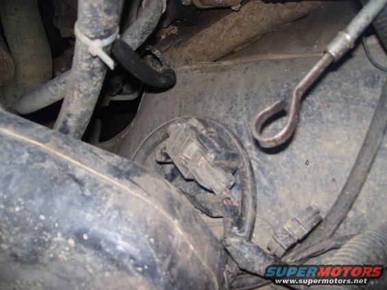 Close-up of engine bay wiring and hoses, with a metal loop and electrical connector visible