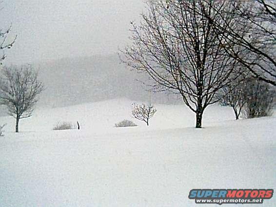 Snowy landscape with bare trees and a watermark