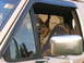 1996 Ford Bronco - A dog sits in the driver's seat of a vehicle, looking out the window.