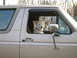 1996 Ford Bronco - A dog sits in the driver's seat of a 1996 Ford Bronco.