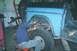 1976 Ford Bronco - Chris Welding Shackle back on