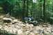 1976 Ford Bronco - Off-road vehicles tackle a challenging rocky path through a dense forest.