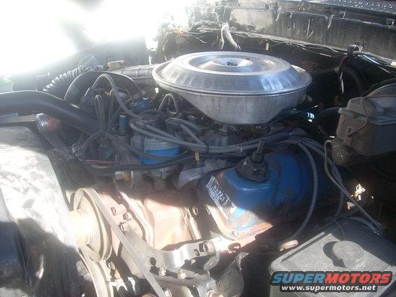 Engine bay with a large air cleaner, distributor, and blue valve covers. Some text is visible on a part