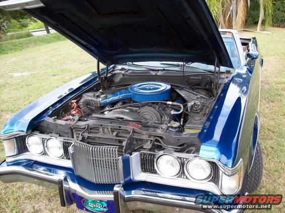 1973 Cougar,  our topless kitty