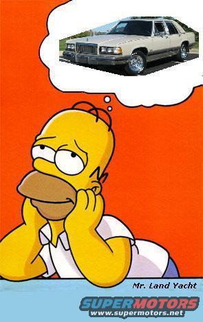 homer7.jpg 