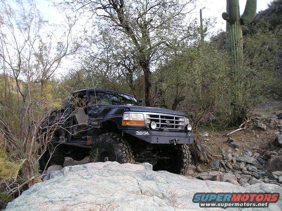 Black Ford F-Series truck with large tires on rocky terrain, saguaro cactus in background