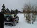 1979 Ford Bronco - A 1979 Ford Bronco navigates a snowy trail surrounded by bare trees.