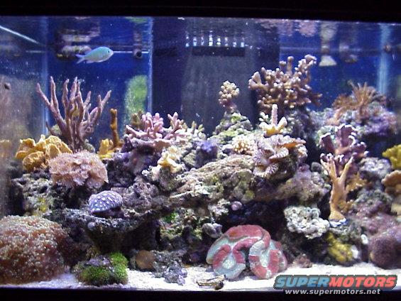 frontclose.jpg Close Up Front