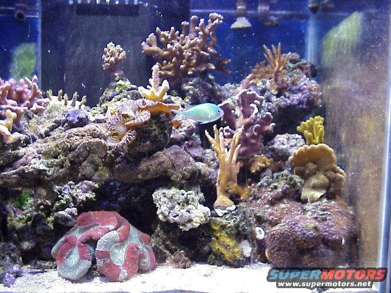 right-side.jpg Right Side.