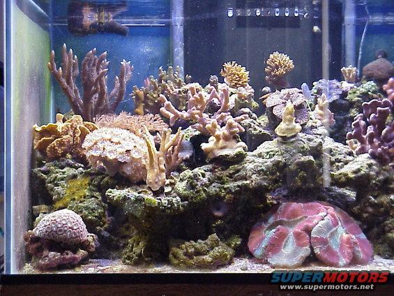 mvc664x.jpg Another Left Side.