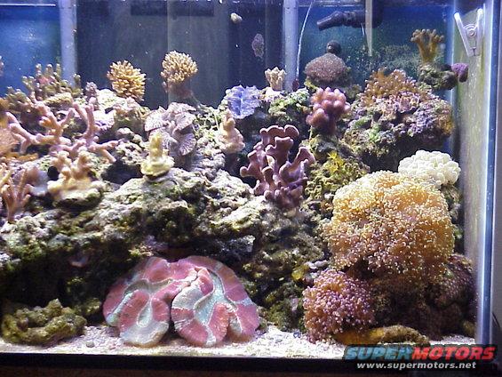 mvc665x.jpg Another Right Side.