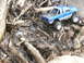 1996 Ford Bronco - Toy pickup truck navigating a path covered in logs and debris.