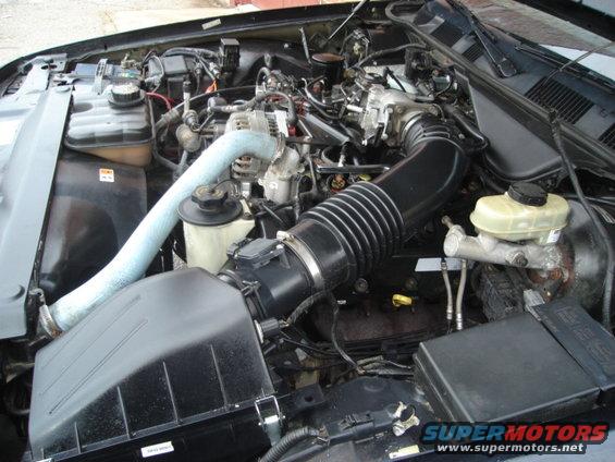 2000 Ford Crown Victoria engine bay with air intake, coolant reservoir, and brake fluid reservoir visible