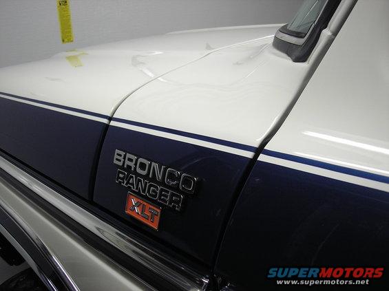 p1050038.jpg Fine Lines 6