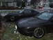 1983 Mazda RX-7 - Two black cars, a Mazda RX-7 and a Ford Probe, are parked on a wet driveway.