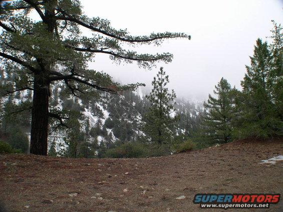 Mountain landscape with snow-dusted trees and a cloudy sky