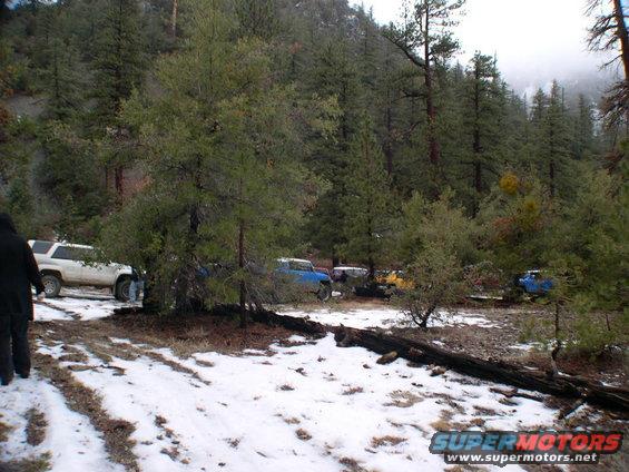Several vehicles parked in a snowy forest clearing with pine trees
