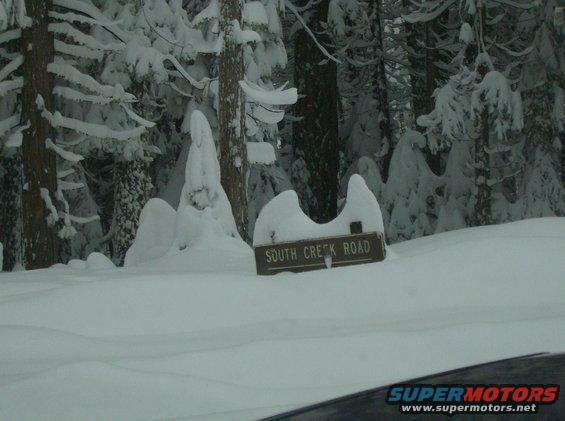 Wooden South Creek Road sign half-covered in snow, surrounded by snow-laden trees
