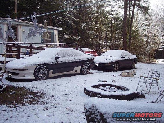 Two sports cars covered in snow, one black and white, the other dark. A dog lies on the ground nearby